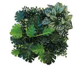 Repto Terrariumplant Achterwand Mat 25x25cm nr.3