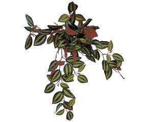 Repto Hangplant Red Back 46cm