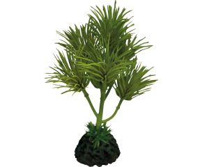 Repto Terrariumplant Cactus Palm