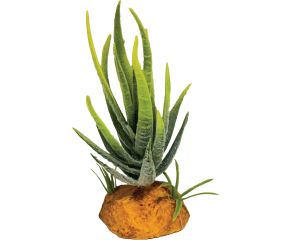 Repto Terrariumplant Aloe Green