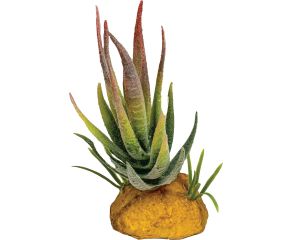 Repto Terrariumplant Aloe Red Tip