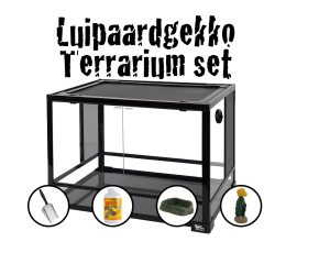 Luipaardgekko starter set Click It