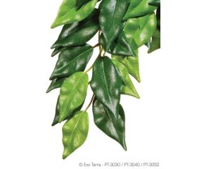 Exo Terra Ficus Silk M