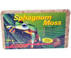 (BU) Lucky Reptile Sphagnum Moss