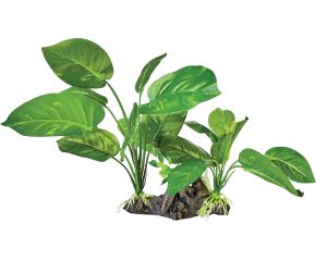 Repto Terrariumplant On Deco Dark Green