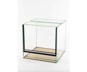 Budget Spinnen Terrarium 10x10x20