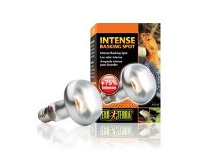 Exo Terra Sun Glo Tight Beam Basking Spot Lamp 25 W