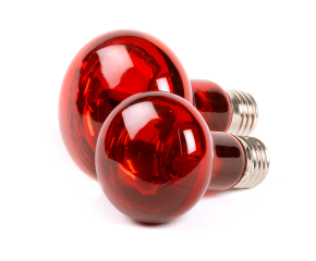 RepTech Infrarood Lamp 75W