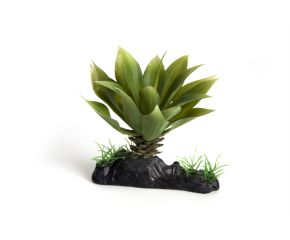 RepTech Terrarium Plant Thick Succulent