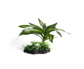RepTech Terrarium Plant Single Bromeliad