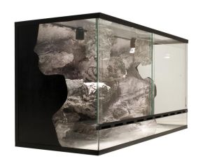 3D Rots terrarium achterwand Yosemite 100 x 50