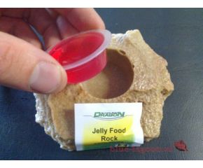 Dragon Jelly-Food Rock Sand Stone