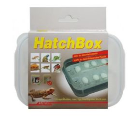 Lucky Reptile Hatch Box
