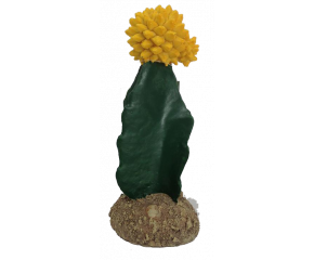 RepTech Cactus Geel Bloem